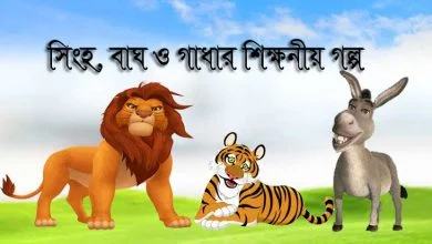 সিংহ, বাঘ ও গাধার শিক্ষনীয় গল্প