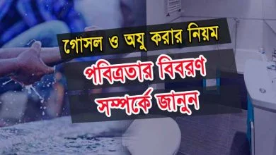 পবিত্রতার বিবরণ