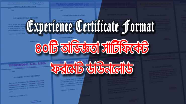 Experience Certificate Format