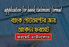 Application for a bank statement format