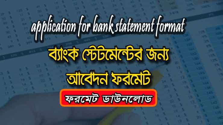 Application for a bank statement format