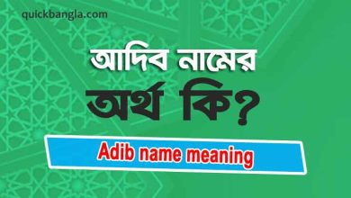 Adib name meaning in bengali