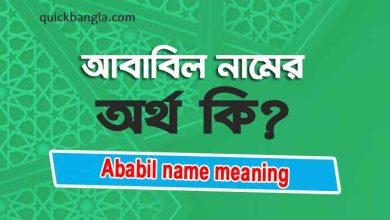 Ababil name meaning in Bengali