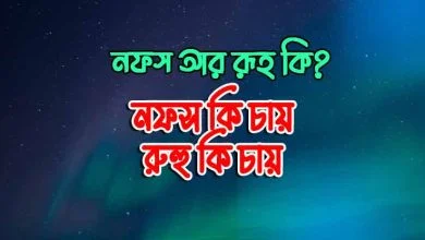 নফস ও রূহ কি