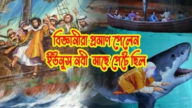 হযরত ইউনুস আঃ মাছের পেটে যাওয়ার ঘটনা