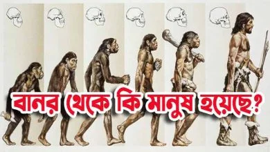 বানর থেকে কি মানুষ হয়েছে