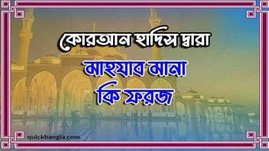 মাযহাব মানা কি ফরজ