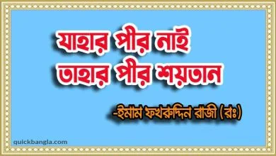 যাহার পীর নাই তাহার পীর শয়তান