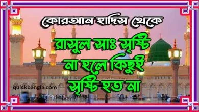 রাসূল সাঃ সৃষ্টি না হলে কিছুই সৃষ্টি হত না কোরআন হাদিসের দলিল