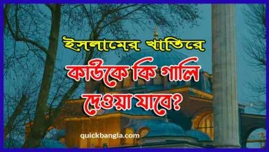 কাউকে কি গালি দেওয়া যাবে ইসলামের খাতিরে