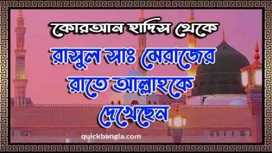 রাসুল সাঃ মেরাজের রজনীতে আল্লাহকে দেখেছেন কোরআন হাদিসের দলিল